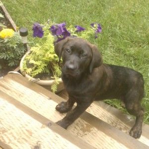 Meet your Posher, Mike